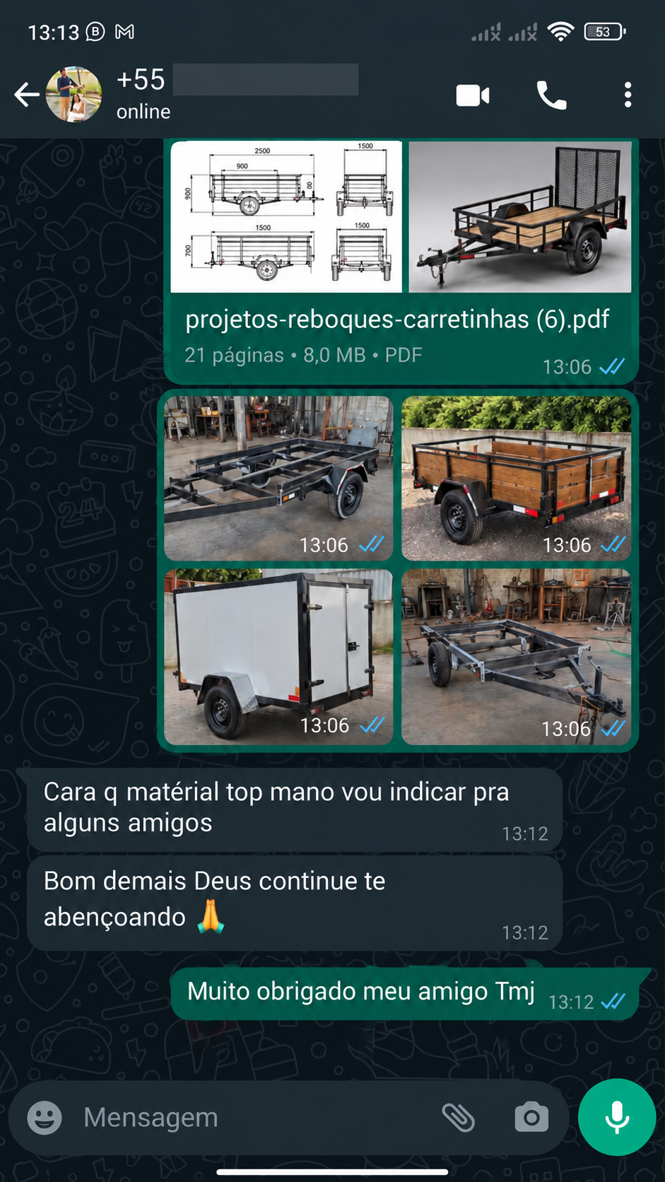 Depoimento de comprador no WhatsApp sobre os projetos recebidos